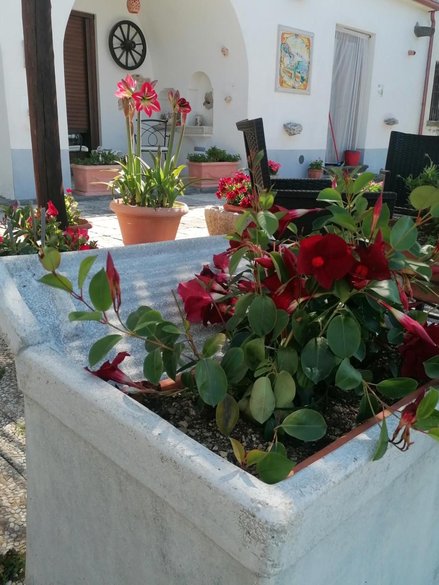 Bed and Breakfast Il Casale Del Generale Agerola Exterior foto